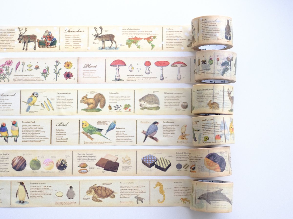 mt マスキングテープ セット 切手 カラバリ 柄図鑑 花やしき縁日テープ 3㎝ゆうパケット対応】きらぴかマスキングテープ[苺と鳥] - 雑貨