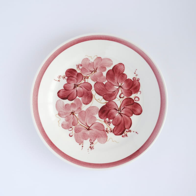 ARABIA / ハンドペイント 赤いボタニカル柄プレート 19cm / 01 | Tähti