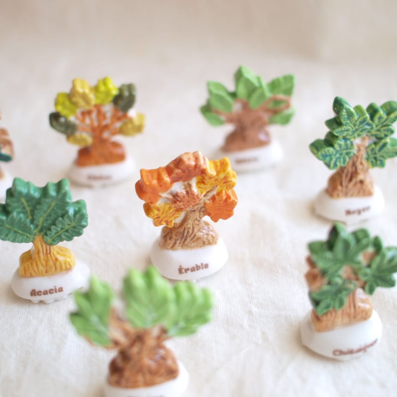 フェーブ セットフェーブ / A chaque arbre sa signature 樹木の