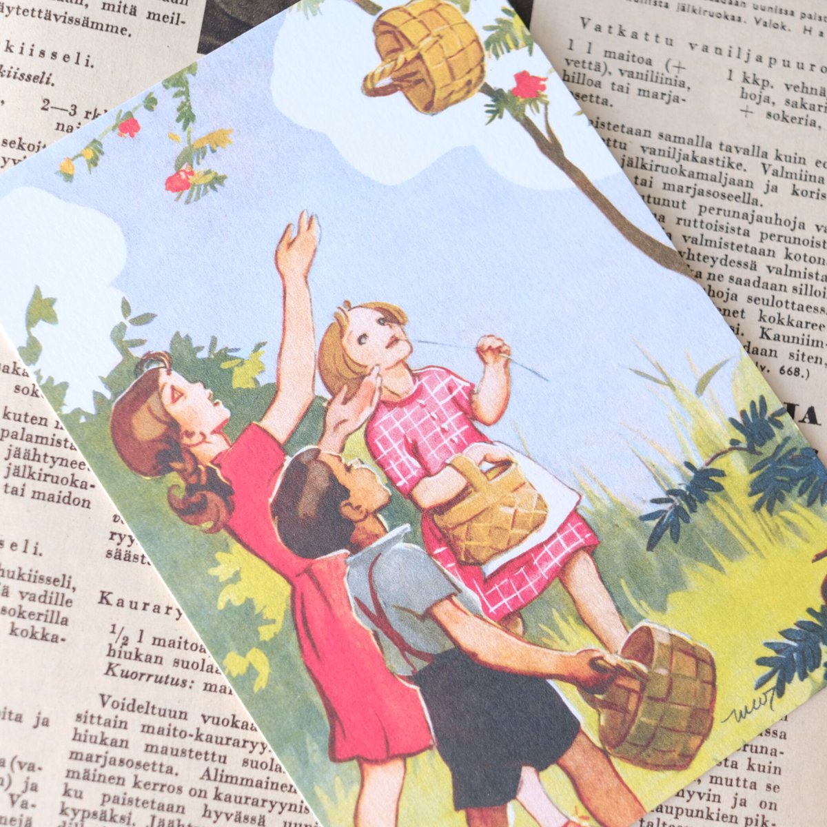 フィンランド ポストカード / 木の上の白樺のカゴ（ Martta Wendelin