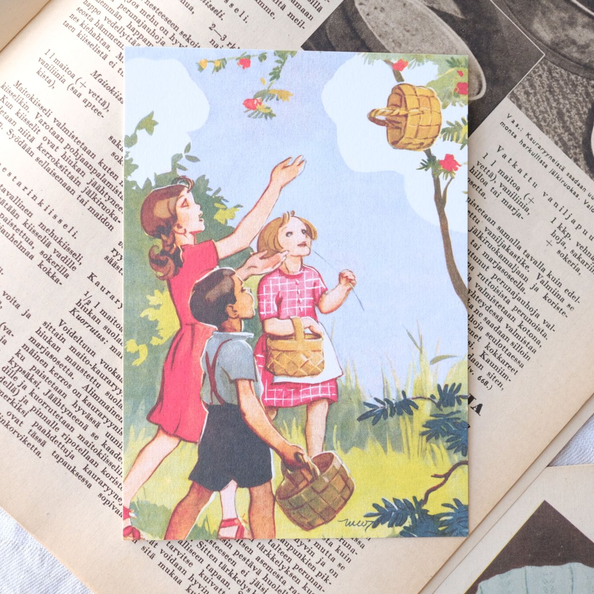 フィンランド ポストカード / 木の上の白樺のカゴ（ Martta Wendelin