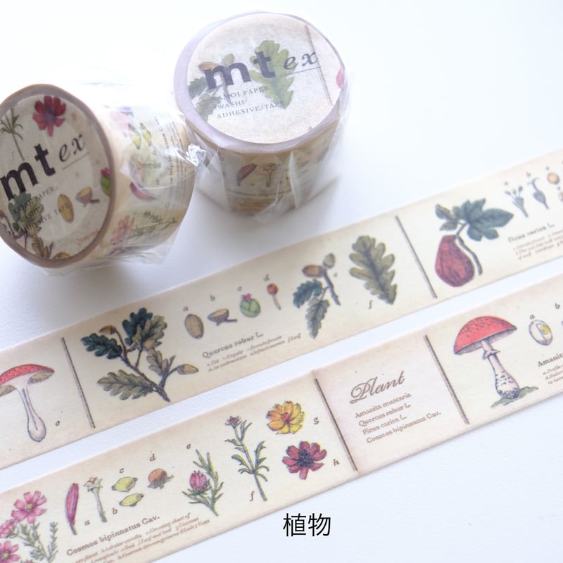 ○廃盤○レア○mt 美しかっ マスキングテープ 10メートル 料理家の日記 