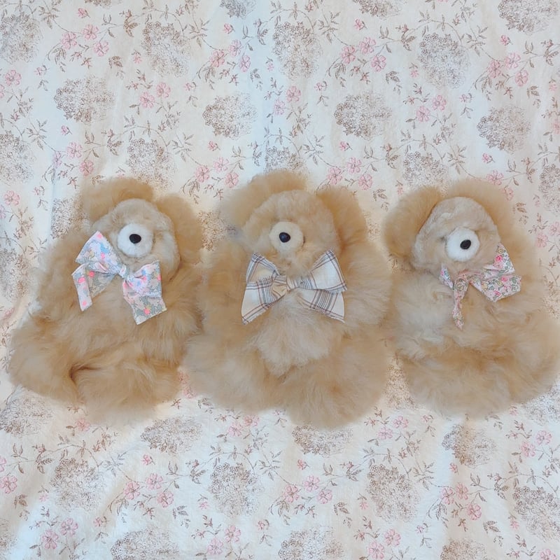 Alpaca bear ✴︎hug size beige | Petit Necco