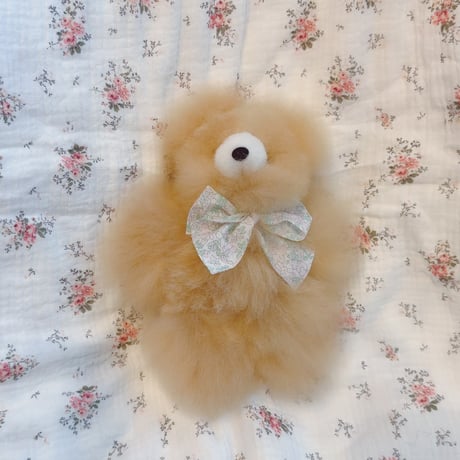 アルパカベア | STORES