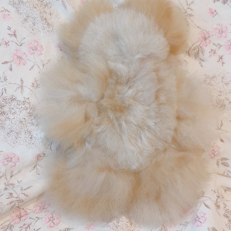 Alpaca bear ✴︎hug size beige | Petit Necco