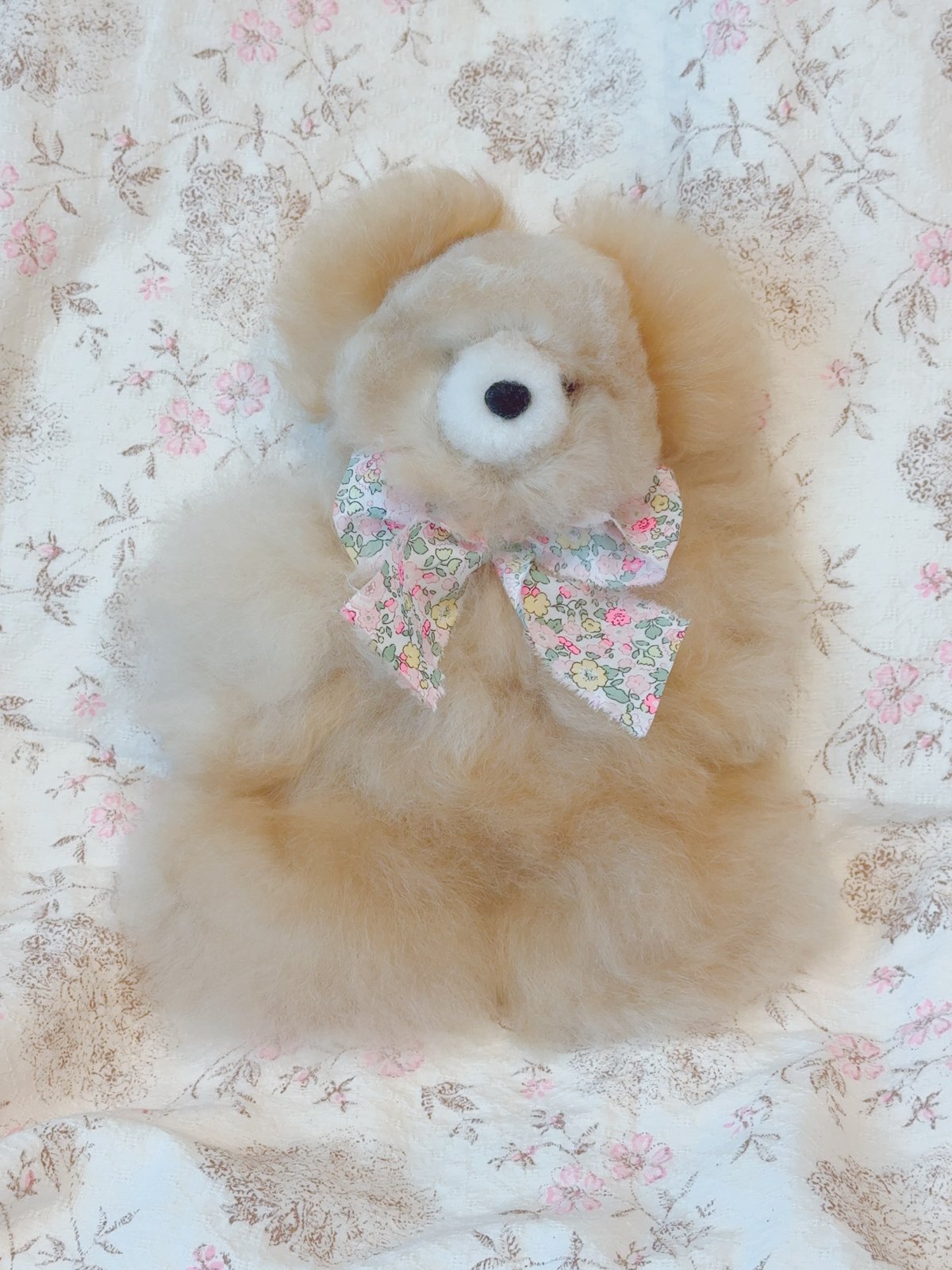 Alpaca bear ✴︎hug size beige | Petit Necco