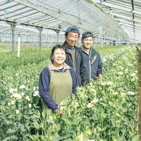 12月14日【トルコキキョウ、お届けします！】現地手渡し