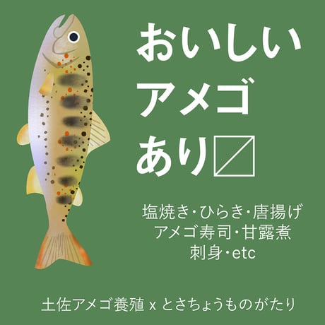 アメゴを買ってください！（直接お渡し・高知県の方限定）