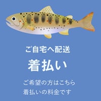 アメゴを買ってください！（着払い）