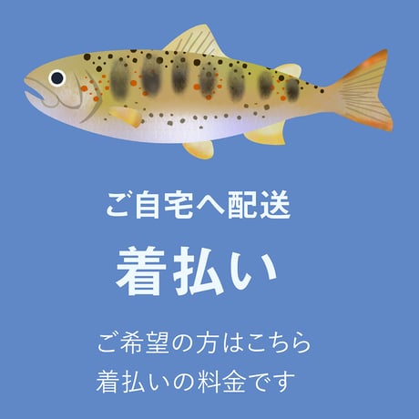 アメゴを買ってください！（着払い）