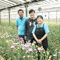【お花を買ってください！みどりさんの金魚草】（着払い）