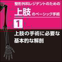 1/8まで値下げ　整形外科レジデントのためのベーシック手術 上肢・脊椎・下肢 整形外科レジデントのためのベーシック手術 【上肢・脊椎・下肢