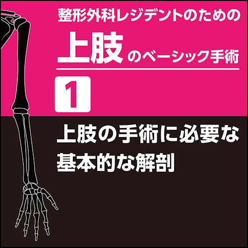整形外科レジデントのための上肢のベーシック手術1 上肢の手術に必要な