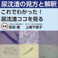 尿沈渣の見方と解釈〜これでわかった！尿沈渣ココを見る