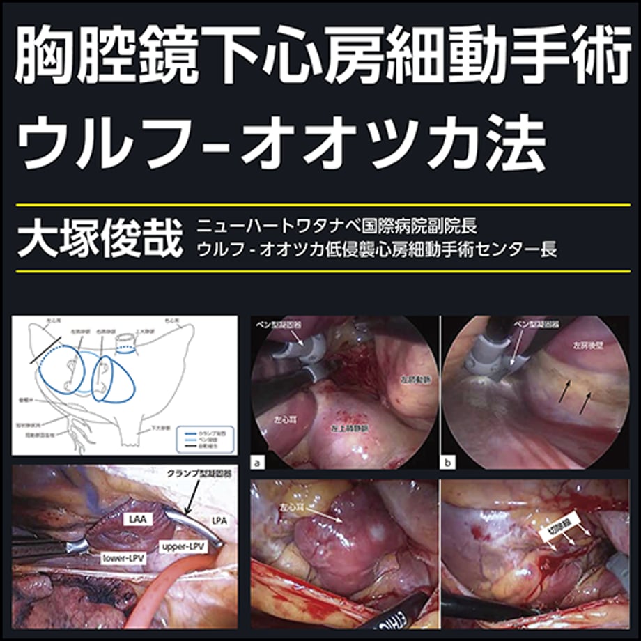 65824e3b13061f01d1486de4