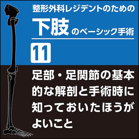 整形外科レジデントのための下肢のベーシック手術11　足部・足関節の基本的な解剖と手術時に知っておいたほうがよいこと（PDF版）