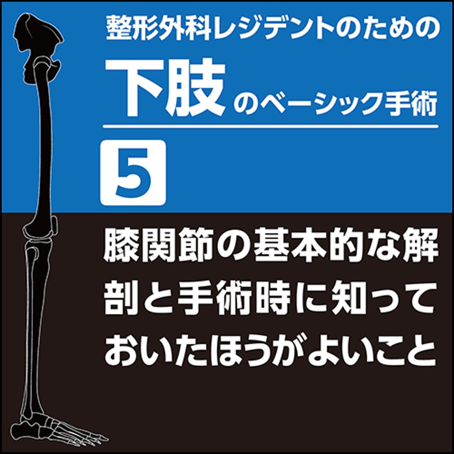 6360f7a9211ac32997031cff