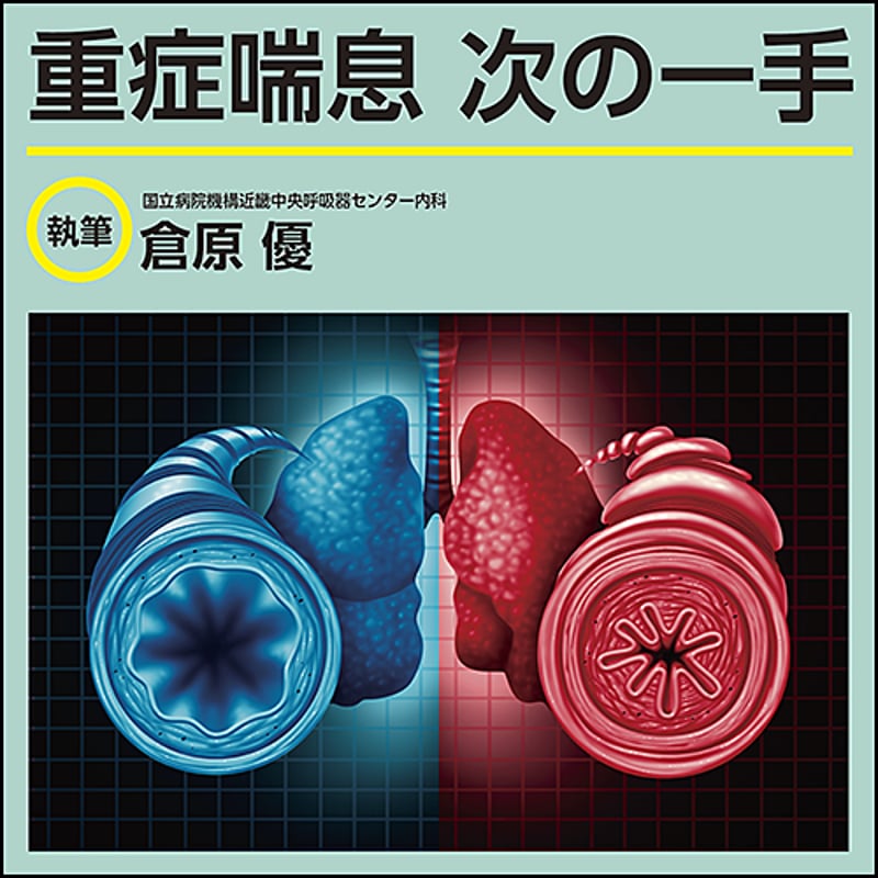 口腔内科学 歯周病学基礎実習用顎模型(歯槽歯肉ピンク色・D咬合器つき