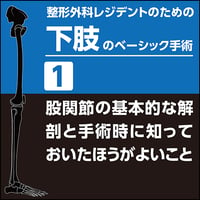 整形外科レジデントのための下肢のベーシック手術1　股関節の基本的な解剖と手術時に知っておいたほうがよいこと（PDF版）