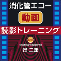消化管エコー動画読影トレーニング