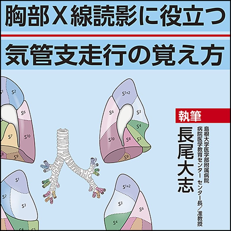 胸部X線読影に役立つ 気管支走行の覚え方 | 日本医事新報社 Web