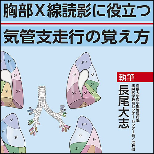胸部X線読影に役立つ 気管支走行の覚え方 | 日本医事新報社 Web