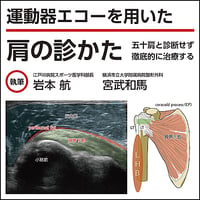 運動器エコーを用いた 肩の診かた〜五十肩と診断せず、徹底的に治療する