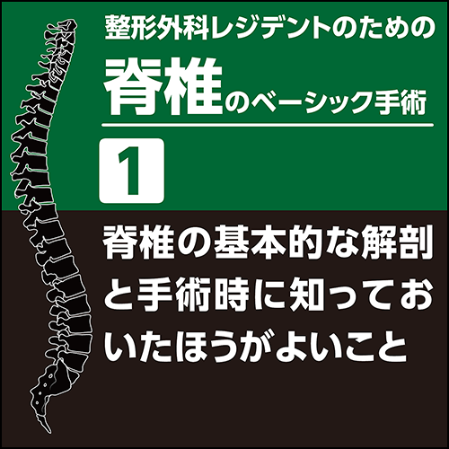 整形外科レジデントのための脊椎のベーシック手術1 脊椎の基本的な解剖