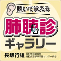 〈聴いて覚える〉肺聴診ギャラリー