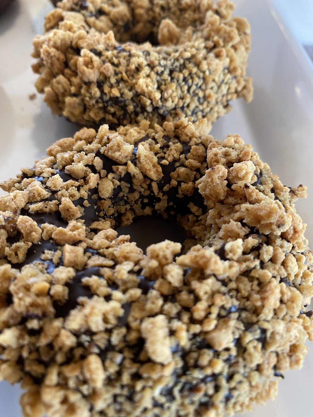 【期間限定値下げ】6/26まで　DONUT BUN-01 Kyoto Vlog] Am I a donut?｜A specialty shop for fresh donuts