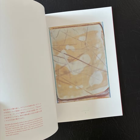 記憶の花 -  藤原更