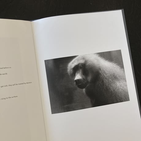 【Signed】 ZOO ANIMALS｜酒 航太（Kota Sake）