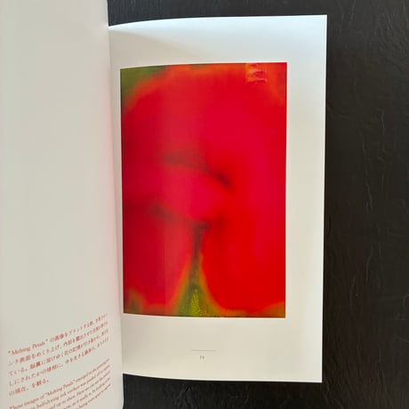 記憶の花 -  藤原更