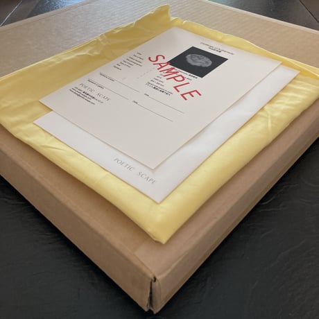 Somewhere not Here #053｜Toshiya Watanabe （渡部敏哉）