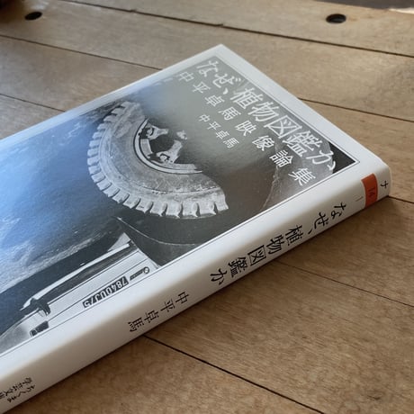 なぜ、植物図鑑かー中平卓馬映像論集｜中平卓馬