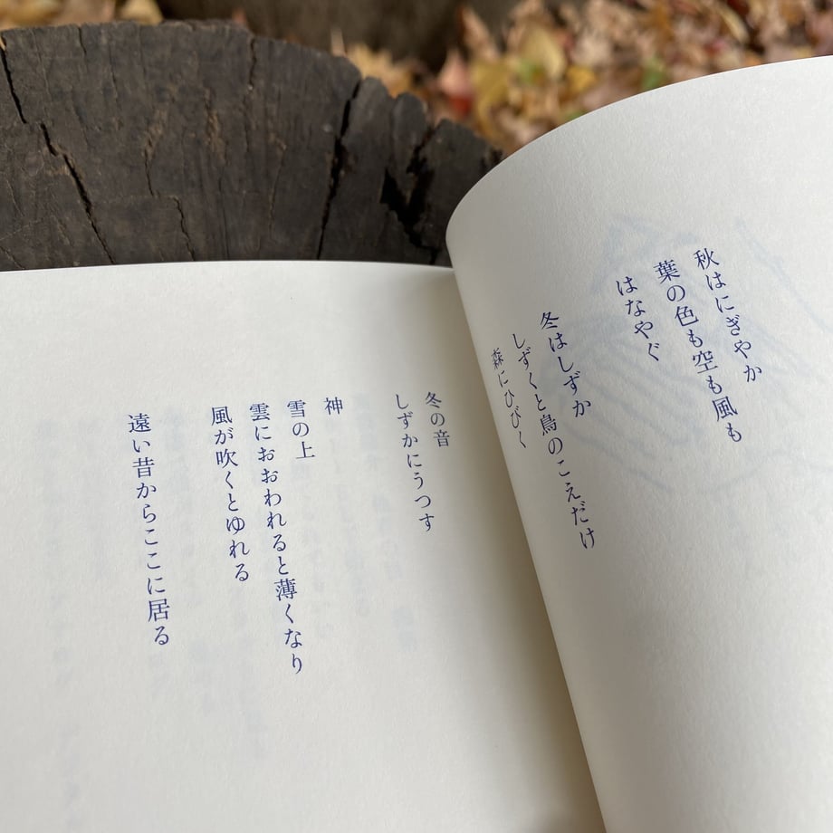 636f565bf80f1e27d9d81bb3