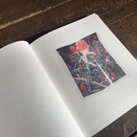 Swaying flowers｜遠藤文香（Ayaka Endo）