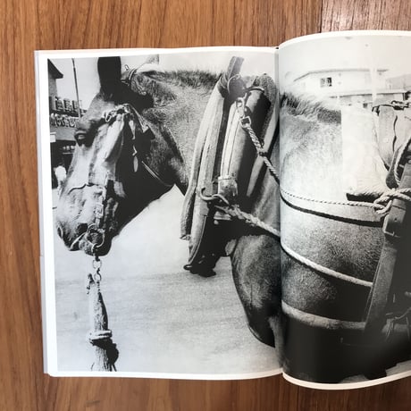 Light and Shadow（英語版）｜森山大道（Daido Moriyama）