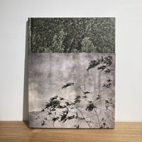 Après tout｜AMAURY DA CUNHA