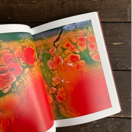 Melting Petals｜藤原更（Sara Fujiwara）