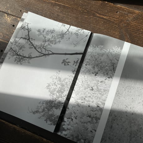 【Signed】BEYOND WHAT YOU SEE｜渡部敏哉（Toshiya Watanabe）