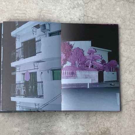 【Signed】Into the Light｜山谷佑介（Yusuke Yamatani）