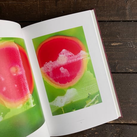 Melting Petals｜藤原更（Sara Fujiwara）