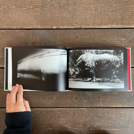 DAIDO SLIDE｜森山大道（Daido Moriyama）
