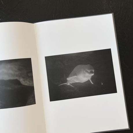 【Signed】 ZOO ANIMALS｜酒 航太（Kota Sake）