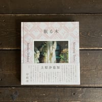 眠る木｜上原沙也加（Sayaka Uehara）