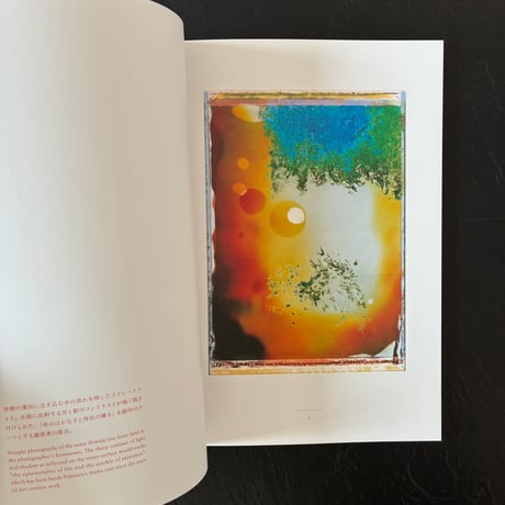 記憶の花 -  藤原更