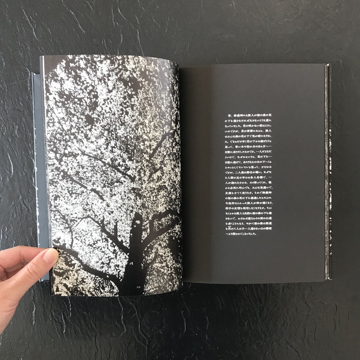 サイン本】森山大道: すっぱ Daido Moriyama: Ango 【日本語版】 サイン本】森山大道: すっぱ Daido Moriyama: Ango 【日本語版】