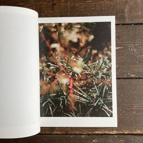 infinity｜残間奈津子（Natsuko Zanma）