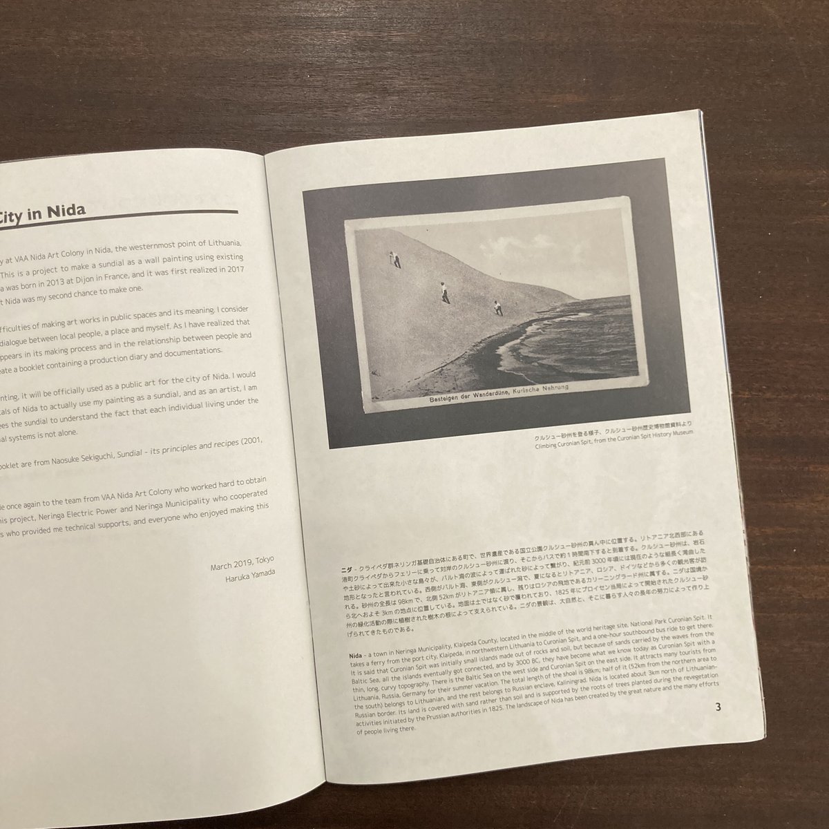 山田悠人 Sakura 絵画 写真 【公式通販】